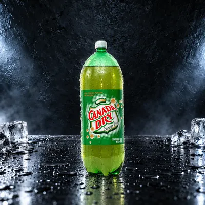 Canada Dry Ginger Ale 600 ml