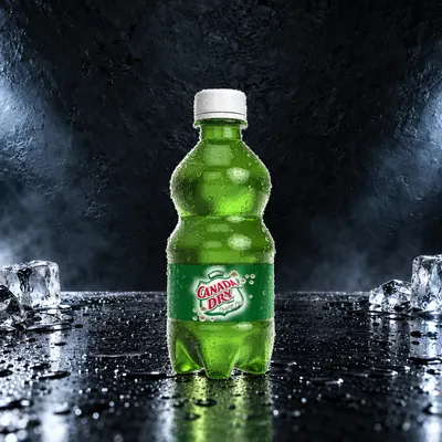 Canada Dry Ginger Ale 355 ml